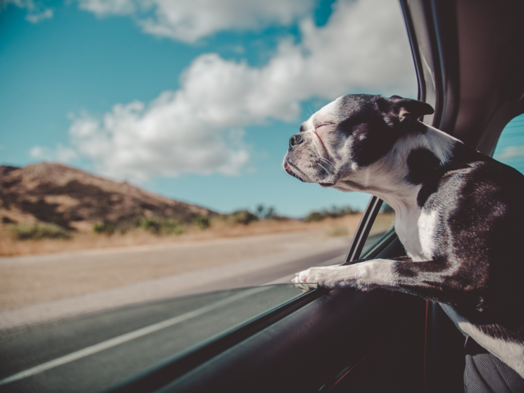 How To Fix A Car Window That Won t Roll Up A Auto Glass