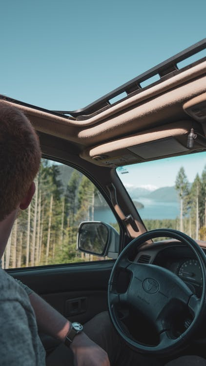 A man looking out to a forest from a car